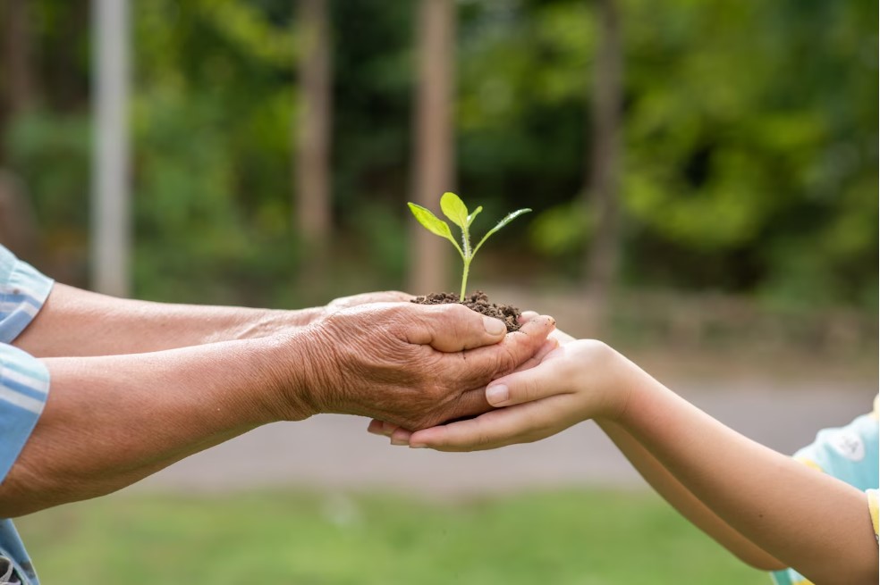 proteccion-medio-ambiente